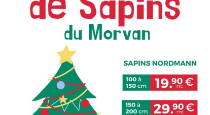 Faites entrer la magie des fêtes dans votre maison avec un magnifique sapin du Morvan. 