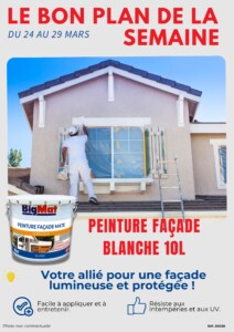 Peinture acrylique façade blanche - 10L 